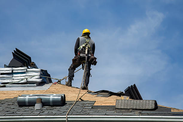 Professional Gutter Installation technician working in Dinwiddie, VA